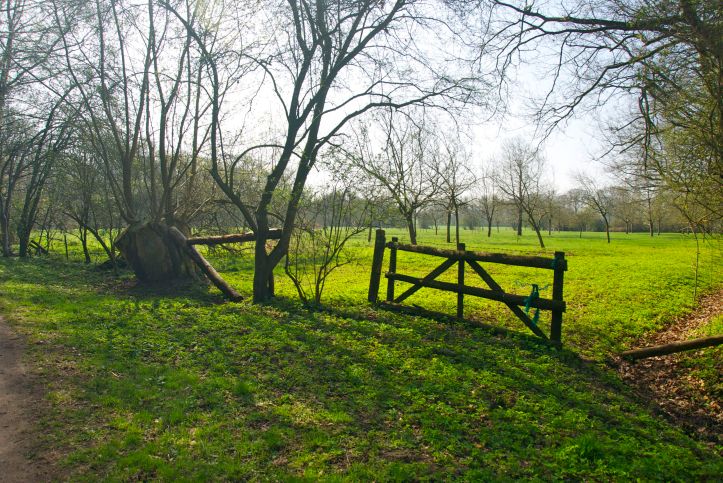 An der Streuobstwiese vorbei…