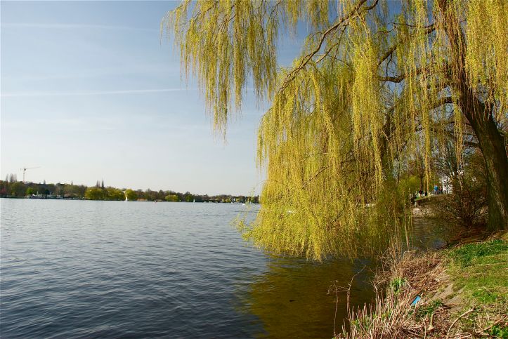 Außenalster