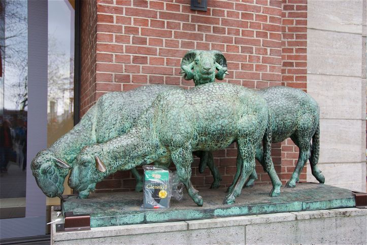 Glennkill Wo stehen diese Schafe?