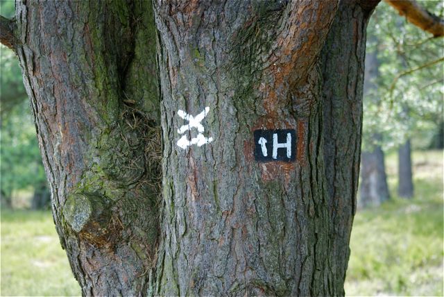 Heidschnuckenweg und Flensburg-Genua Wer mag, kann bis Genua laufen.