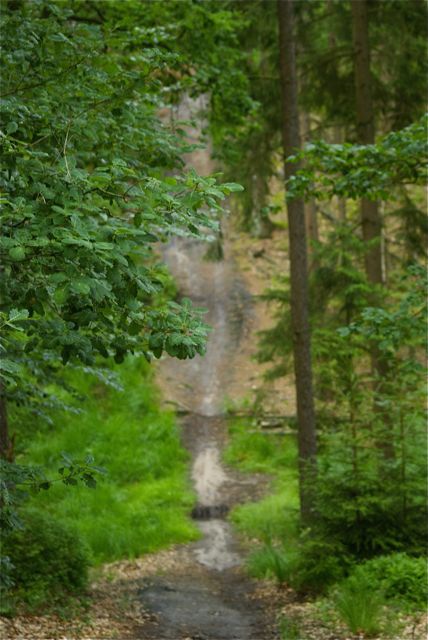 Heidschnuckenweg Soll noch mal jemand behaupten, Norddeutschland wäre flach.