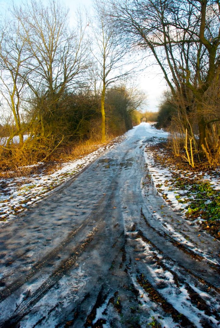 Richtung Königsforst