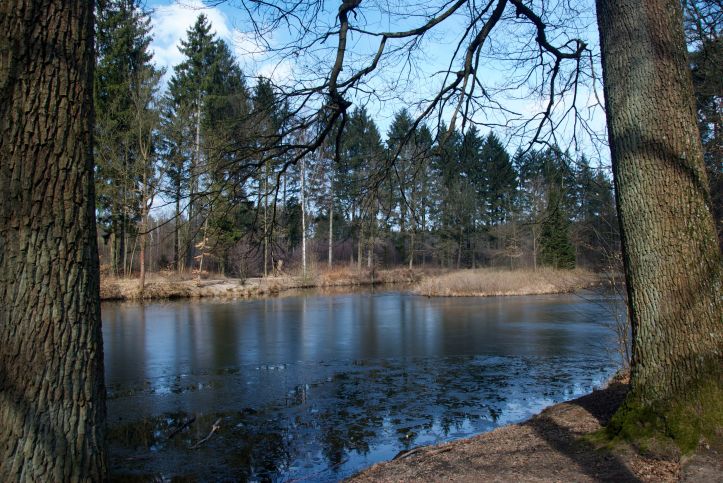 Der Rather Weiher zeigt sich noch frostig.