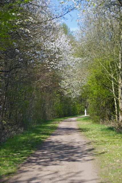 noch eine hohle Gasse