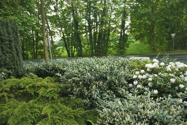 Als ob ein Garten nicht reichen würde…