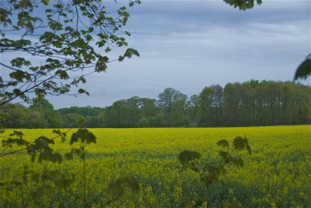 … und gegenüber auch