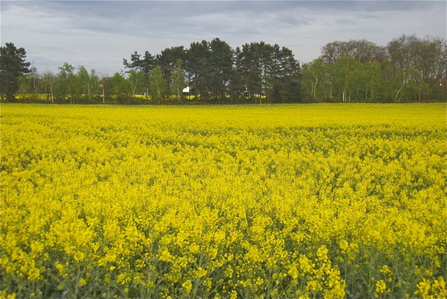 … und auf dem Weg zur Haltestelle