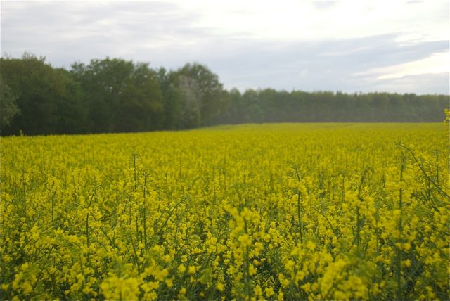 … und hinter der Haltestelle