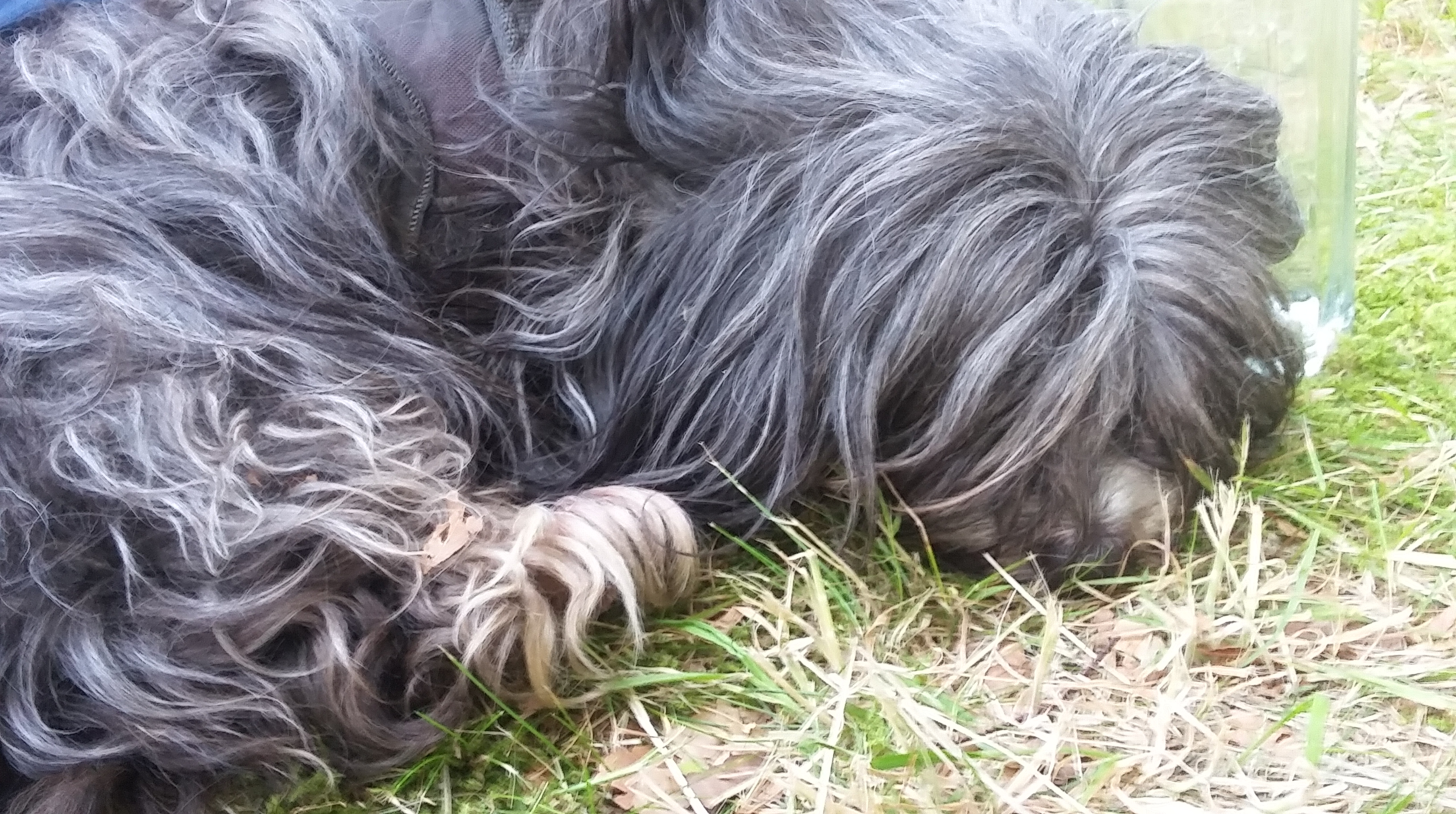 tmp_15786-20160618_202633761350678