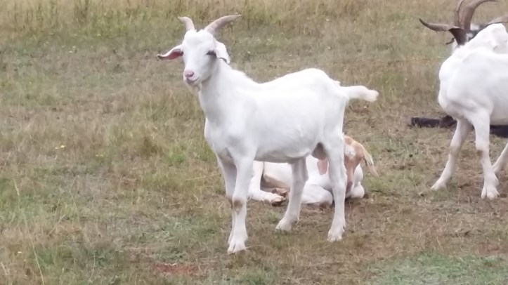 tmp_14561-20160820_124300-170501230