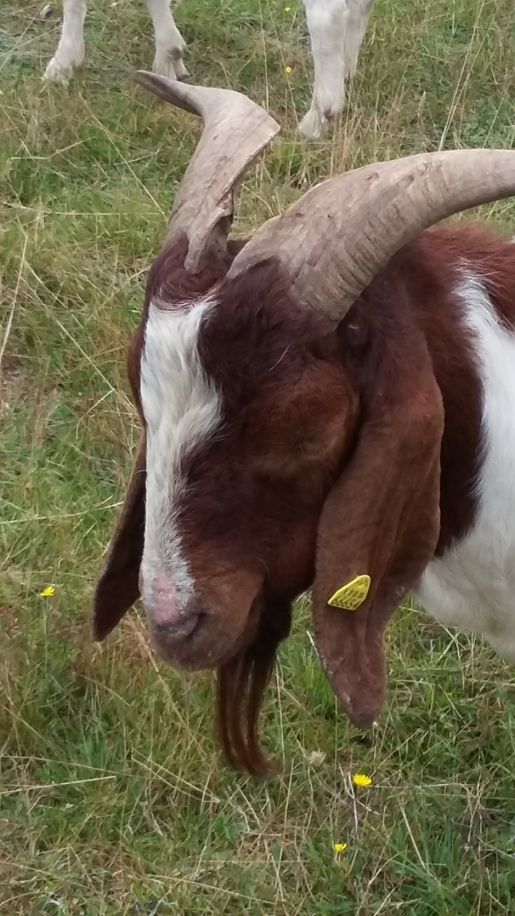 tmp_14561-20160820_1243541516530984