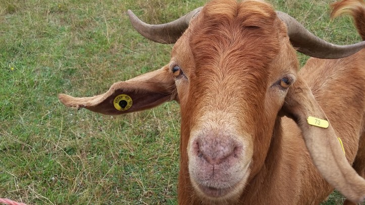 tmp_14561-20160820_1245191316630098