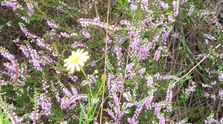 tmp_14561-20160820_124911255956875