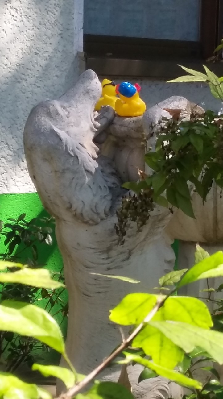 tmp_18366-20160824_130330255956875