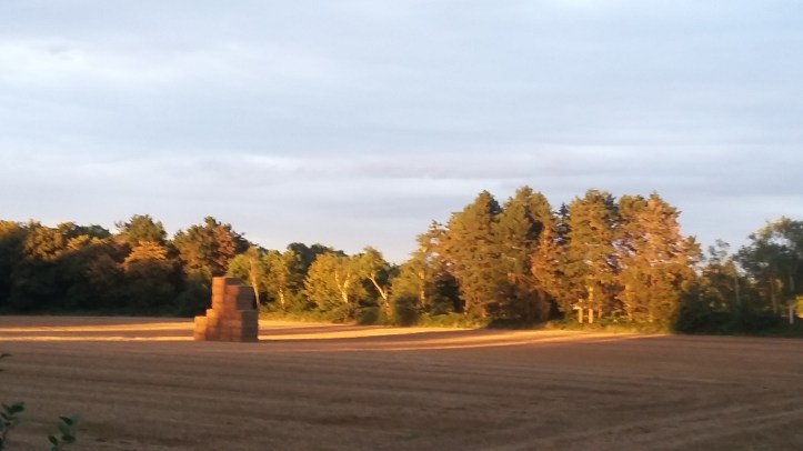 tmp_19938-20160809_204432236219080