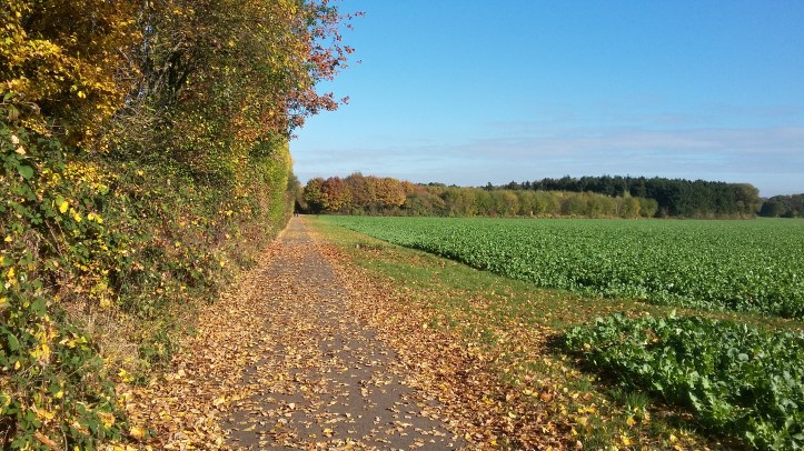 tmp_13536-20161030_115754_richtonehdr-274224791