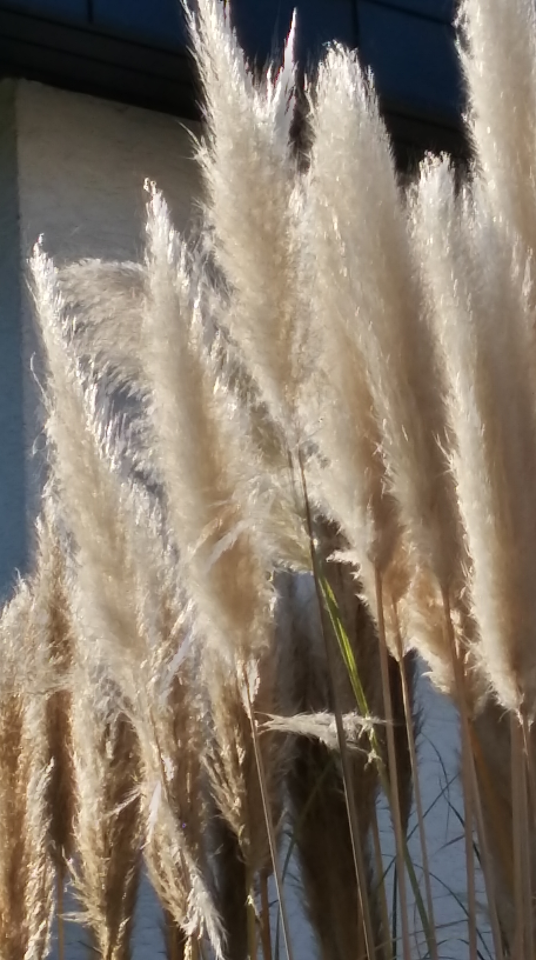 tmp_7533-20161030_135108_richtonehdr-1682089310