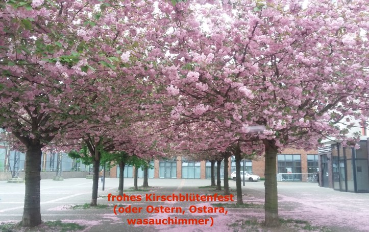 Kirsche