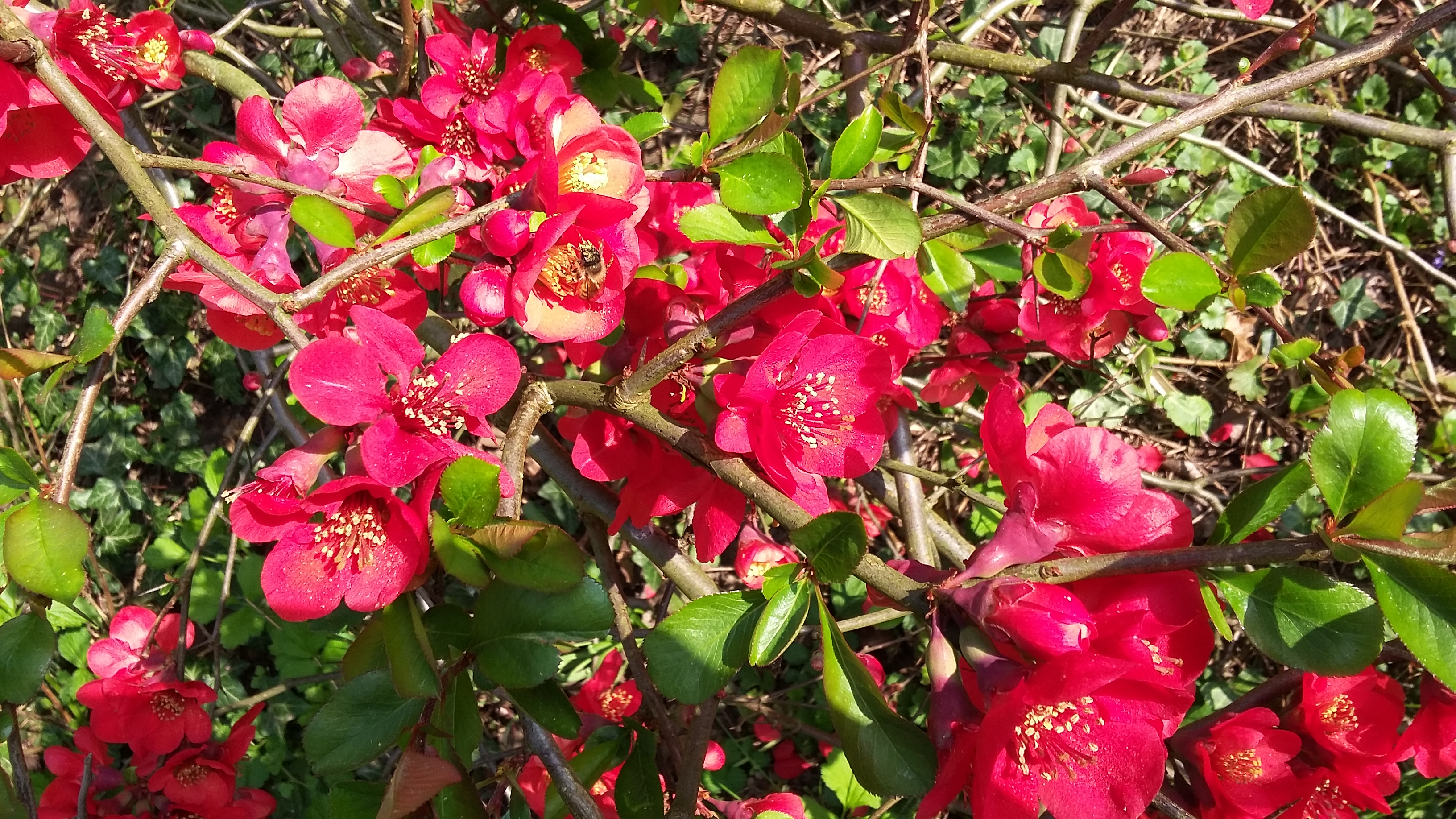 tmp_17382-20170404_1600591381047650