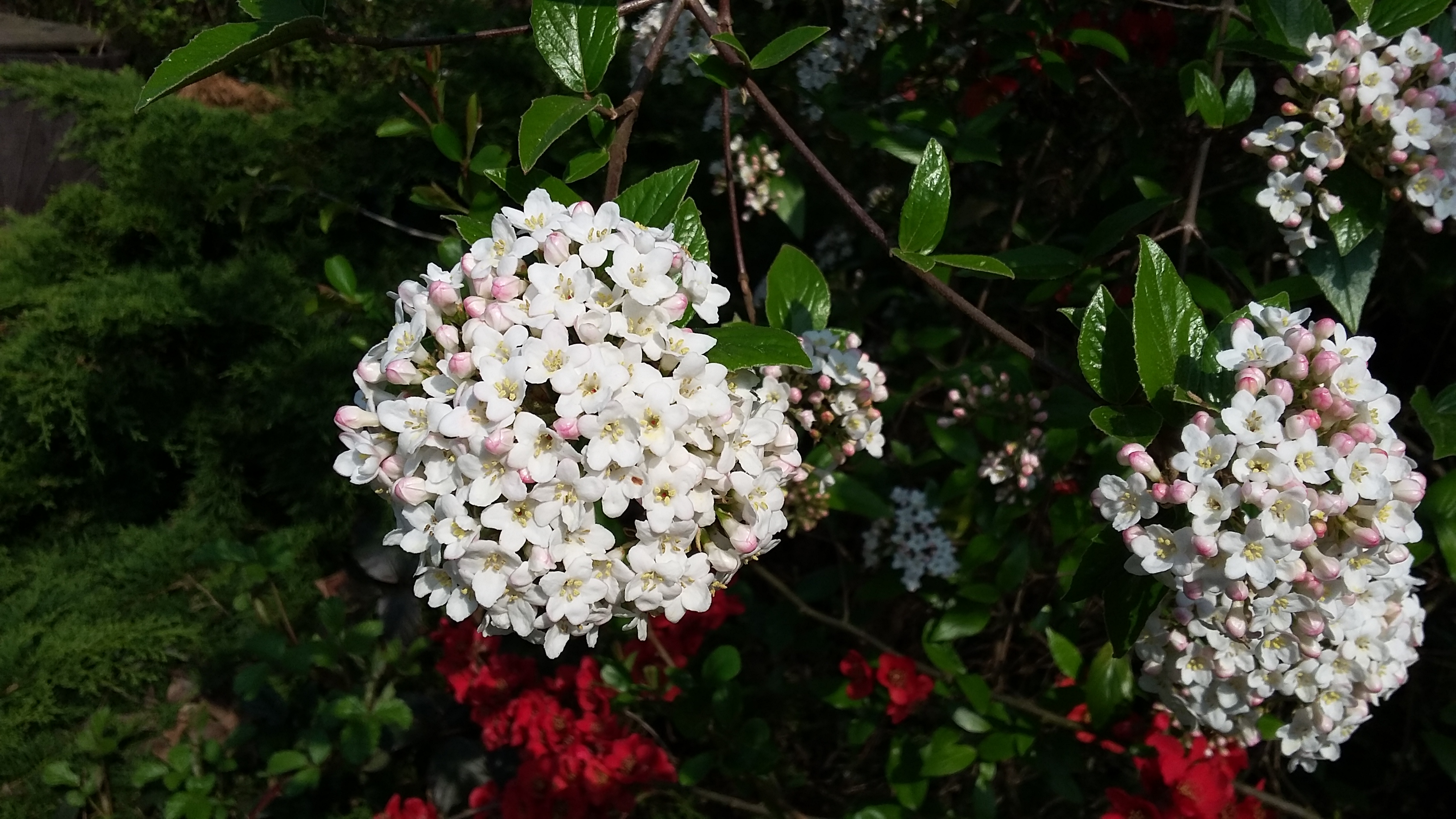 tmp_17382-20170404_1601221022542069