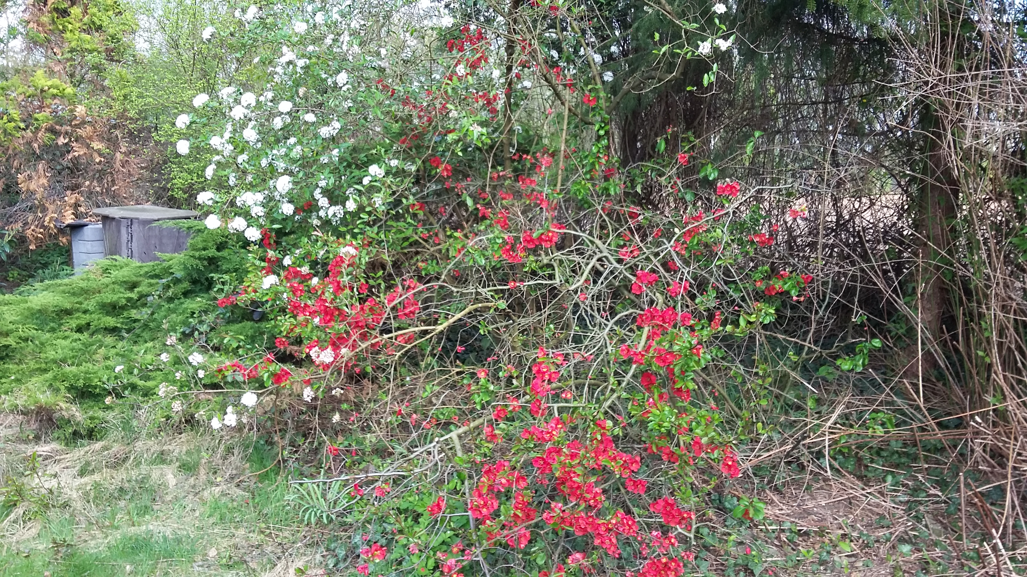 tmp_17382-20170404_160144-1845862177