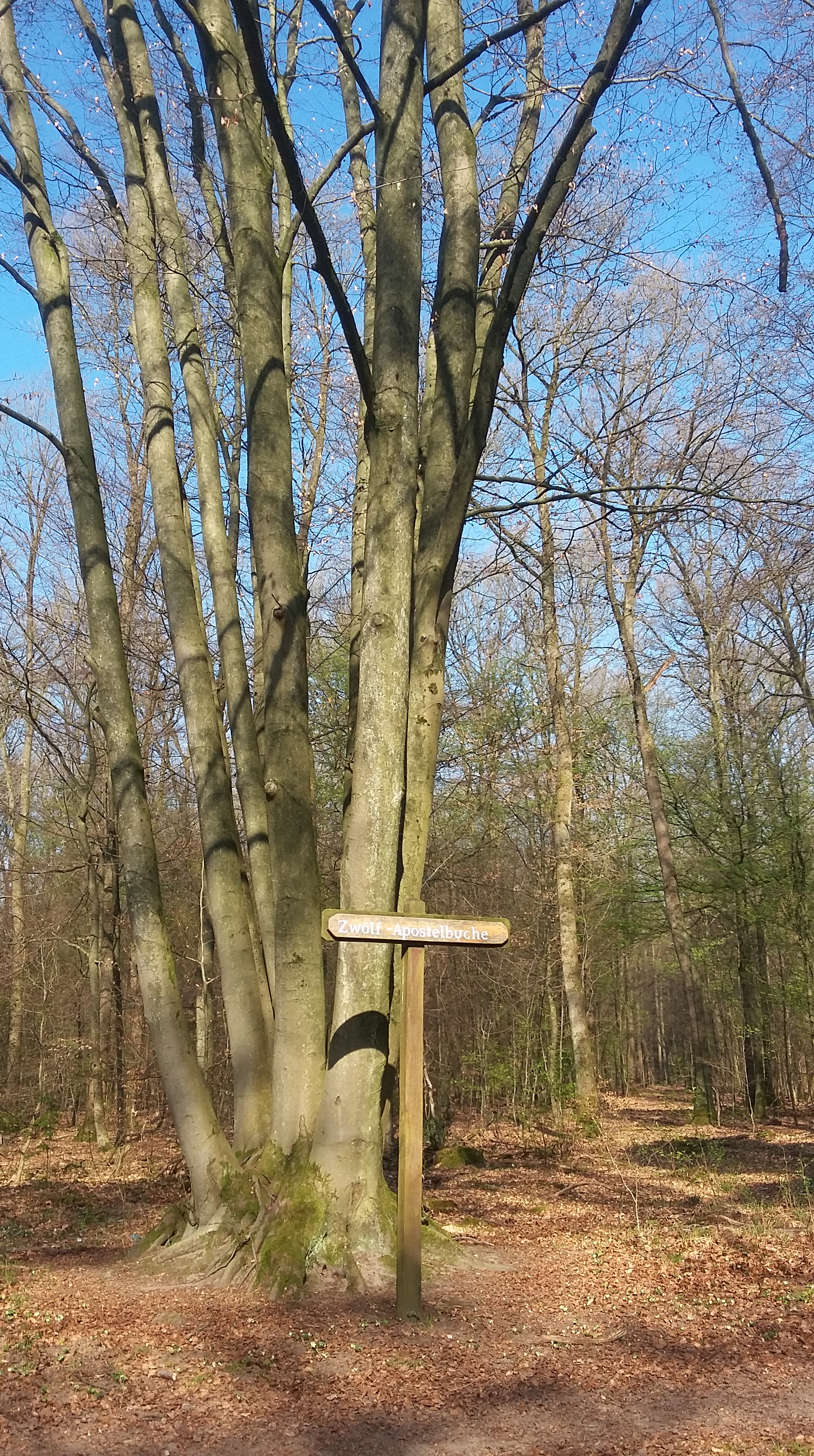 tmp_966-20170409_1026321909614240