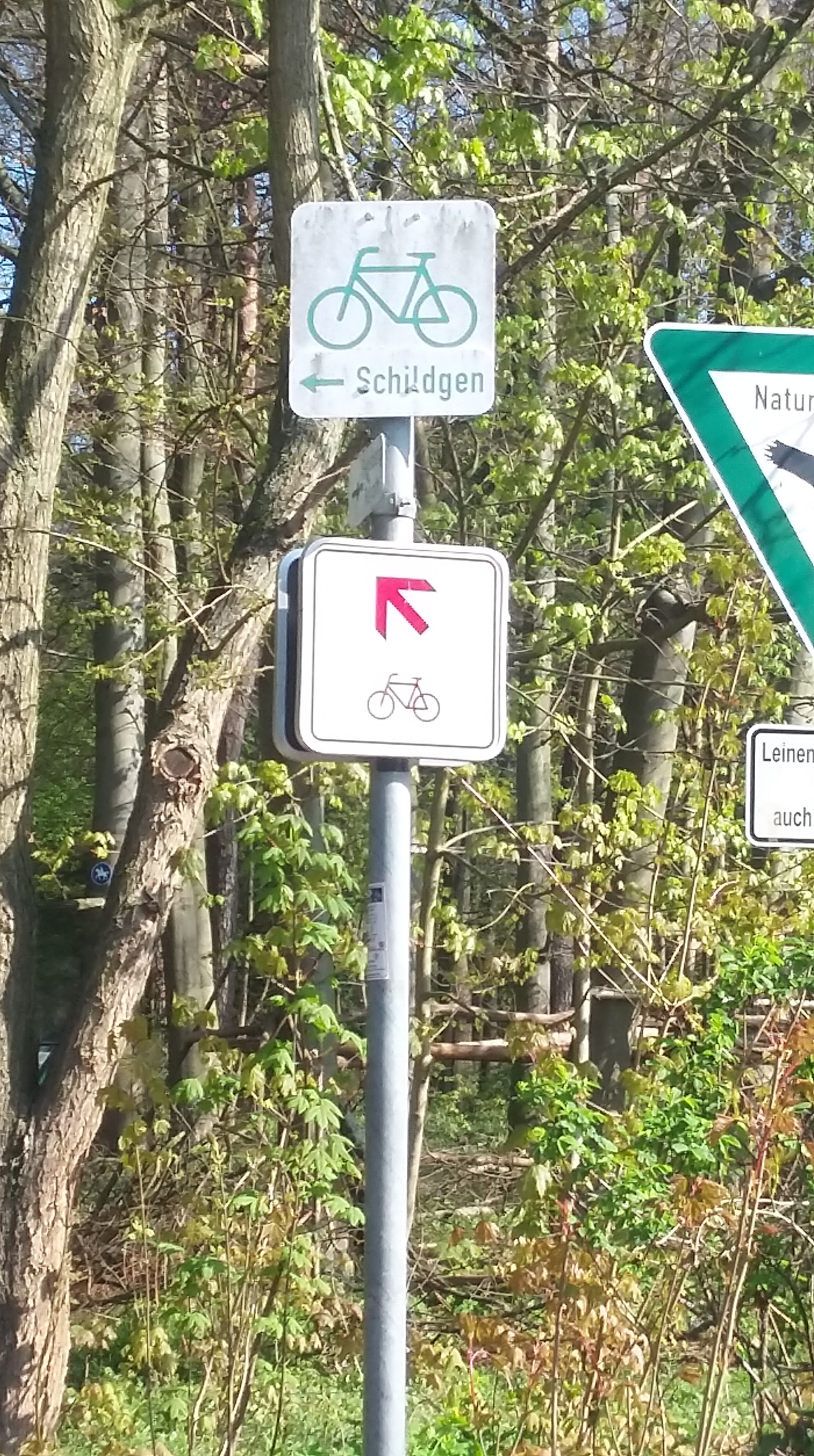 tmp_966-20170409_1058001481870929