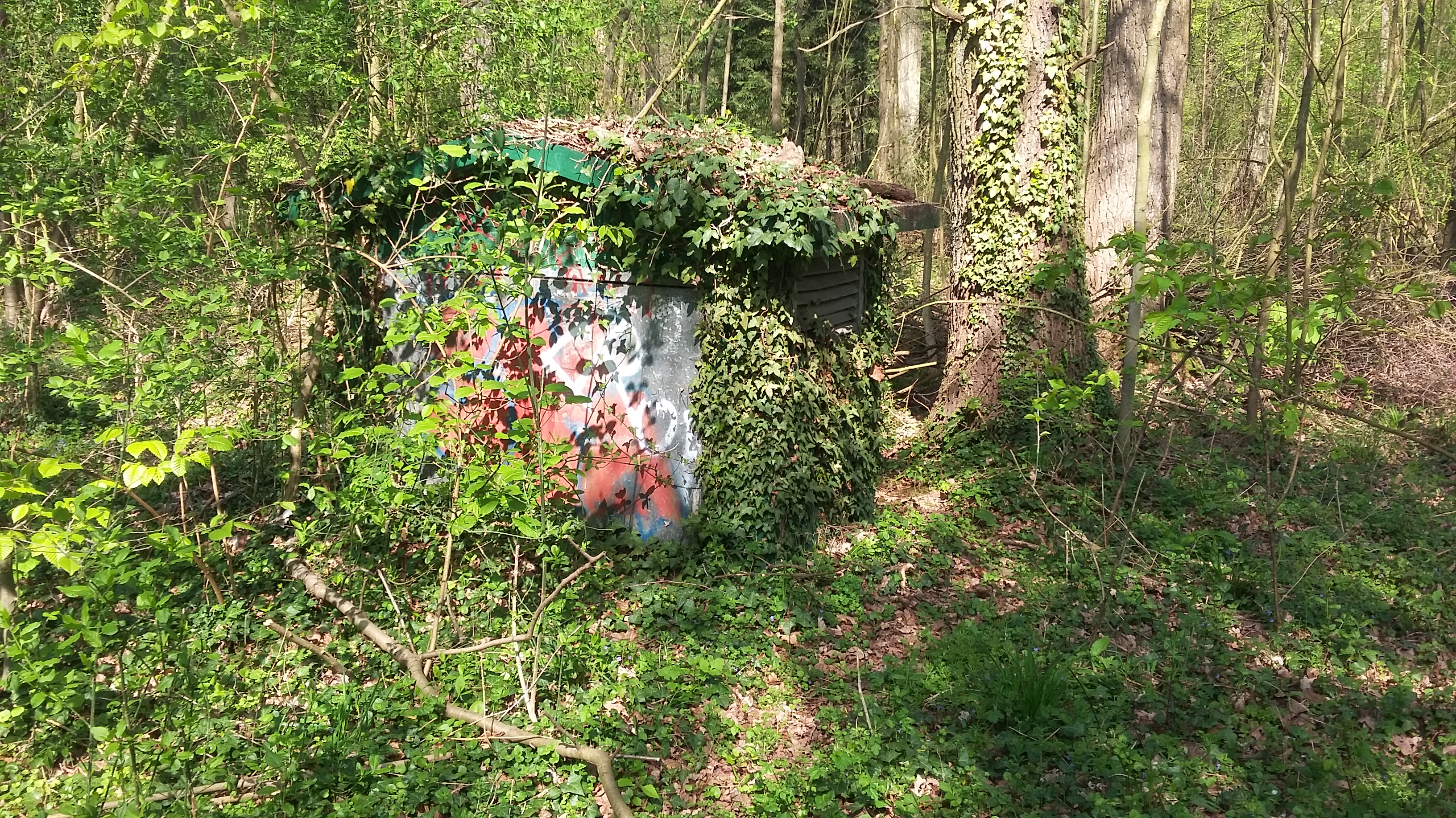 tmp_966-20170409_113242299289042