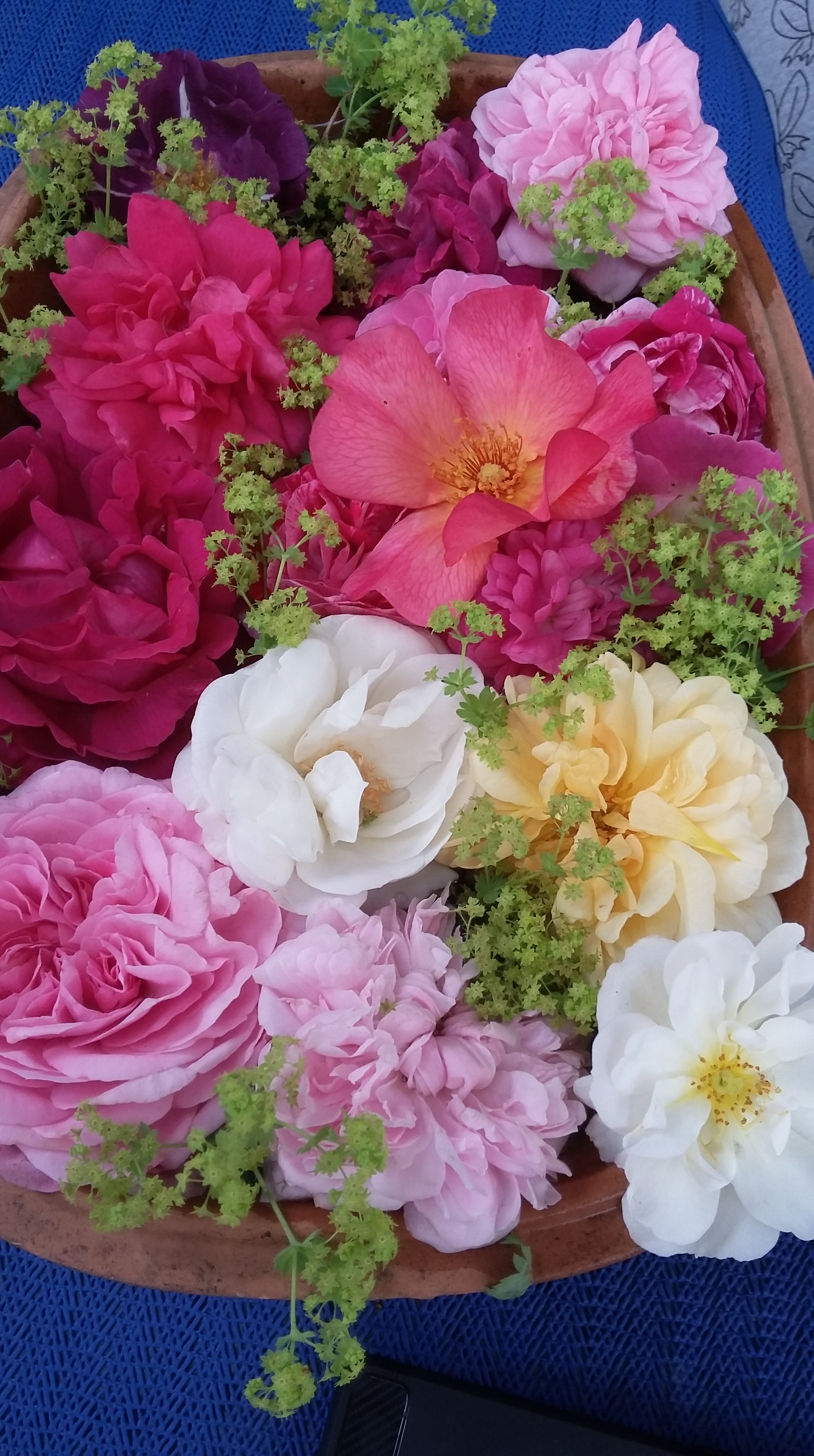 tmp_26958-20170603_180741-526786797