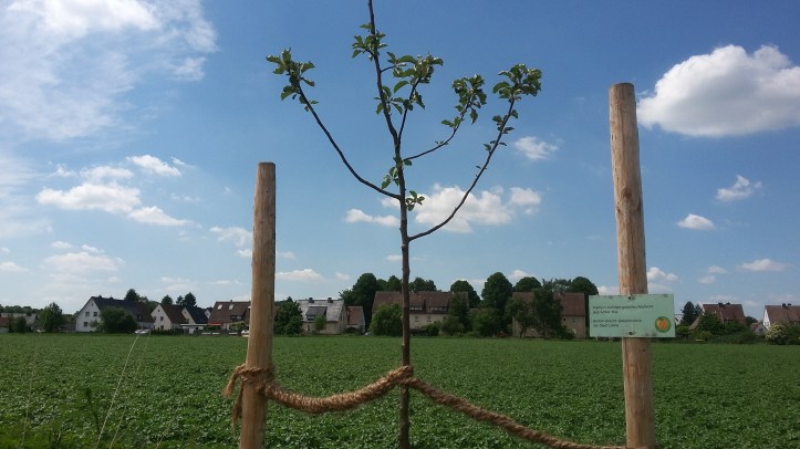 tmp_7548-20170605_130920_Richtone(HDR)644751552