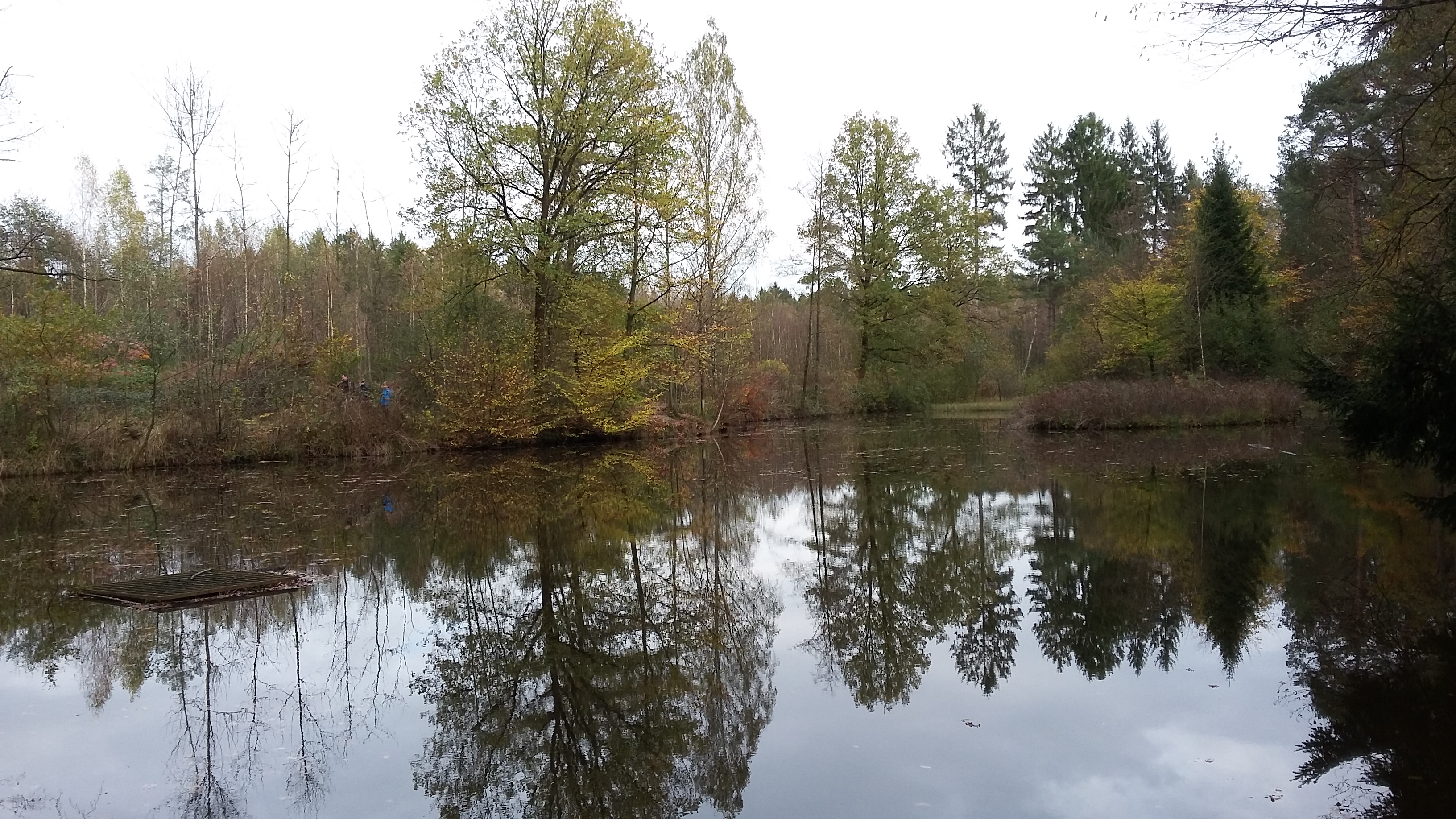 weiher