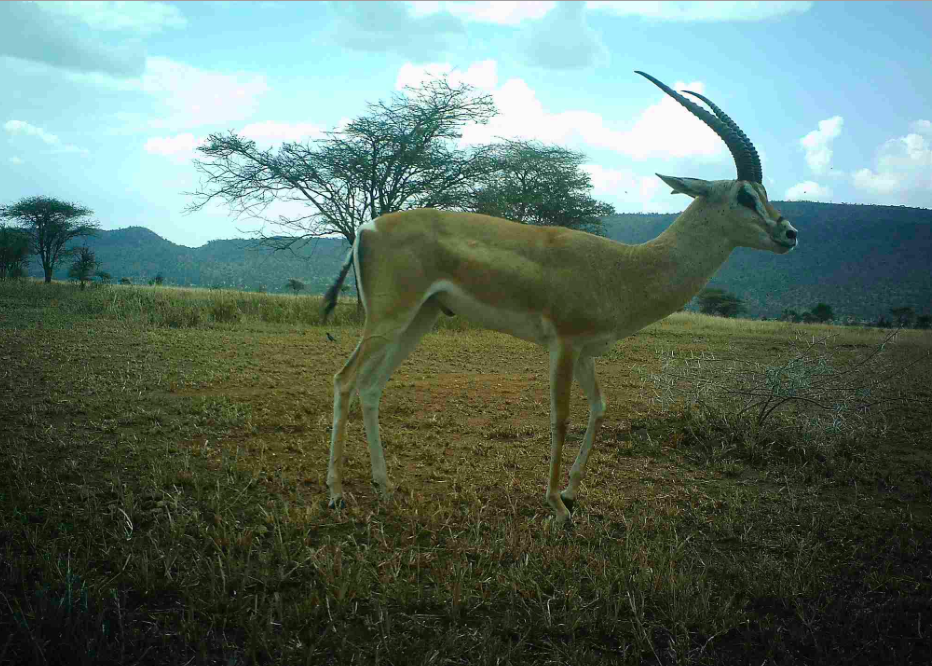 Bildschirmfoto 2018-02-15 um 14.12.08