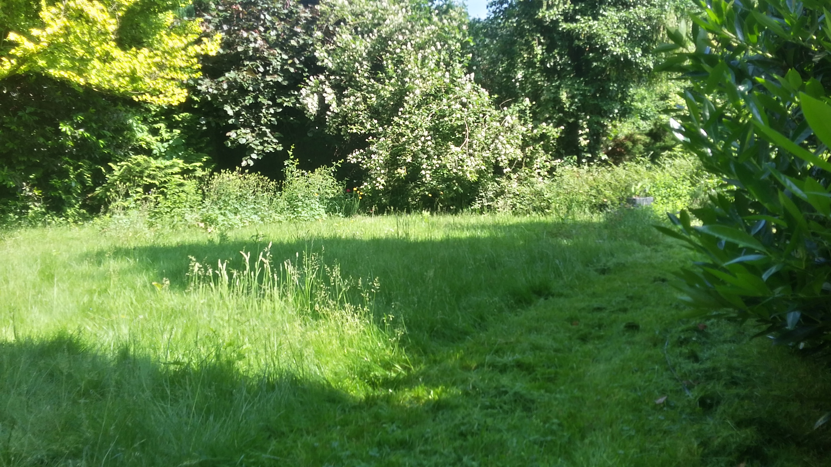 20180604_103719_Richtone(HDR)