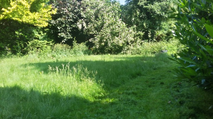 20180604_103719_Richtone(HDR)