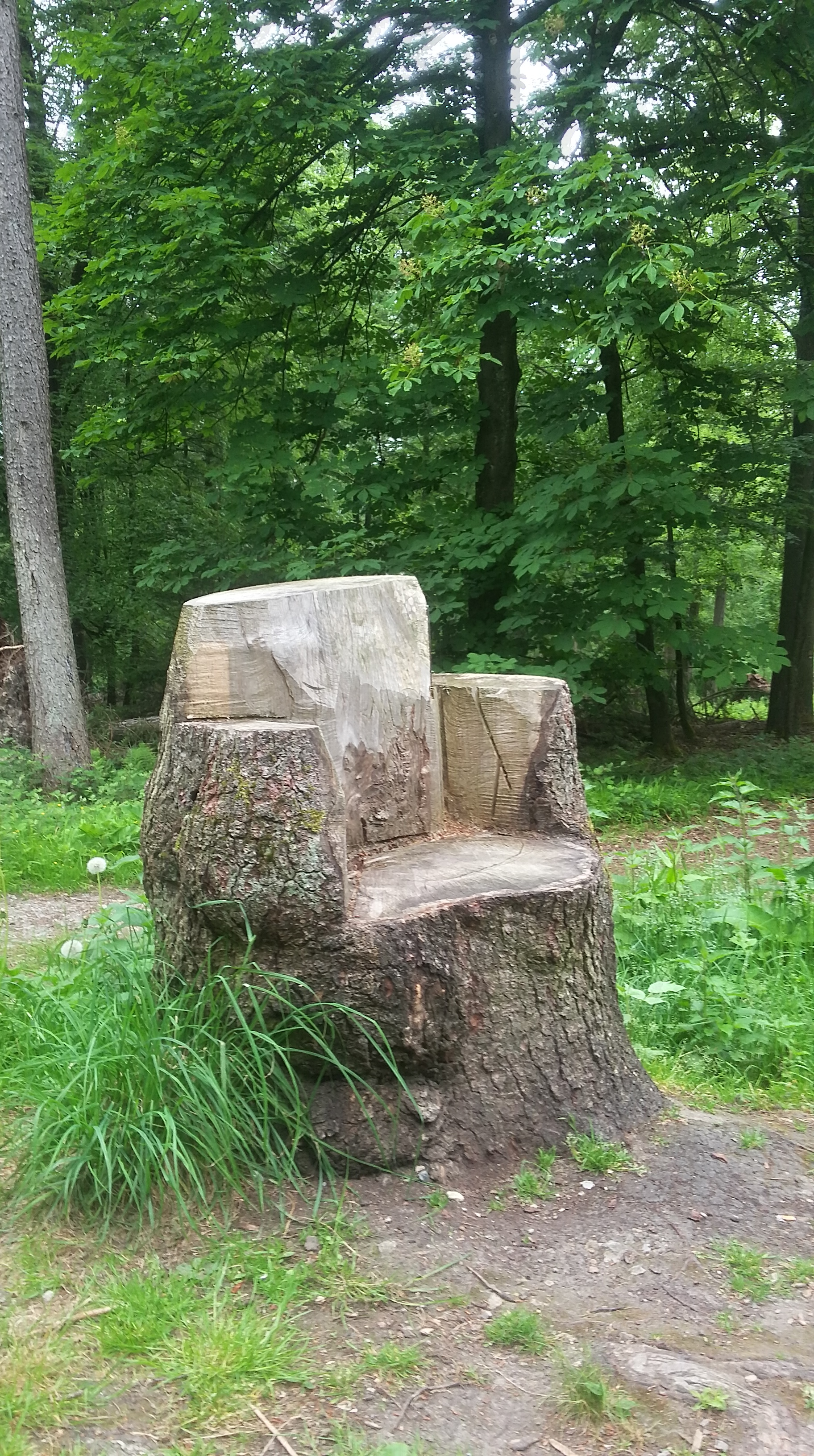 20180523_113334_Richtone(HDR)