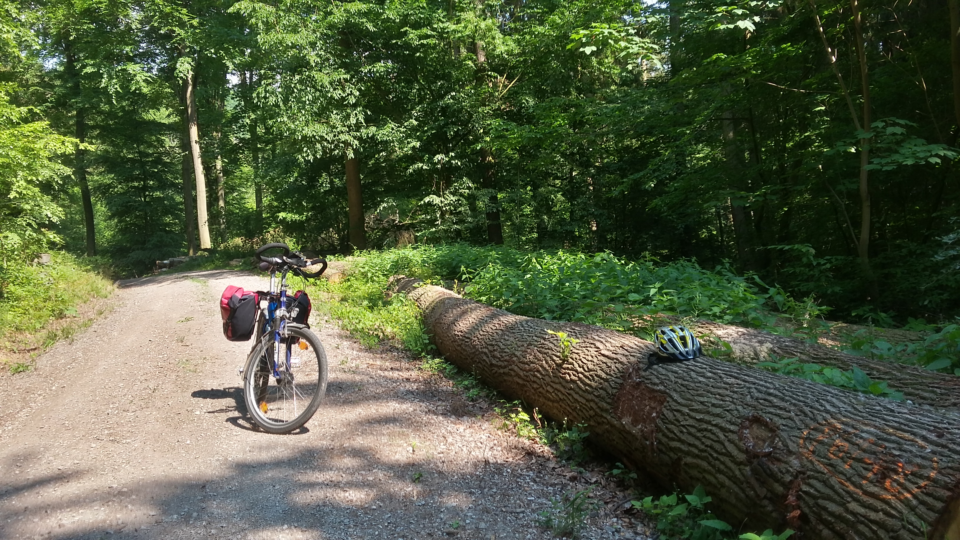 20180527_151504_Richtone(HDR)