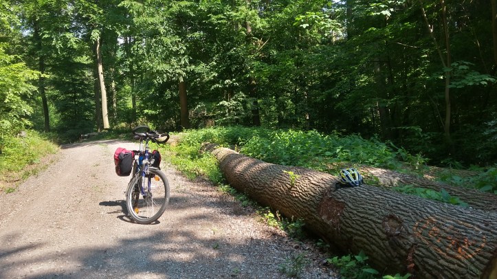 20180527_151504_Richtone(HDR)