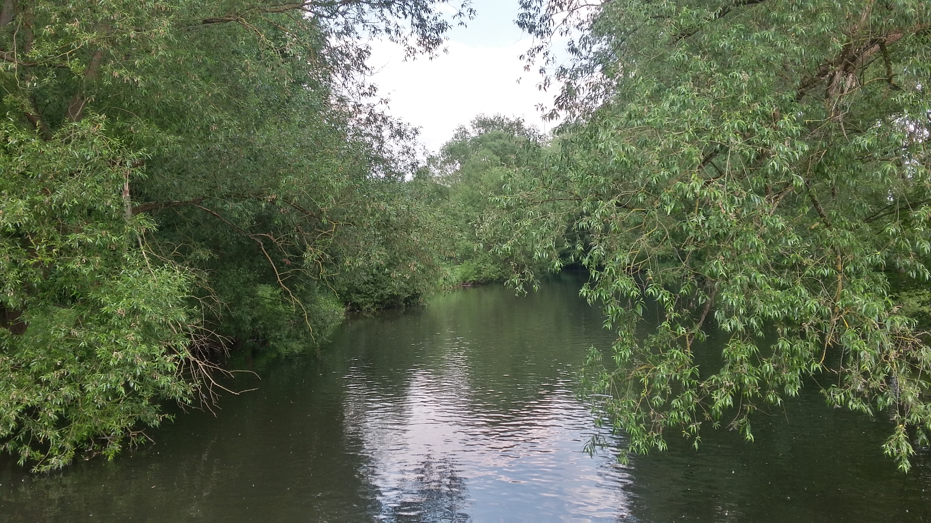 20180527_153113_Richtone(HDR)