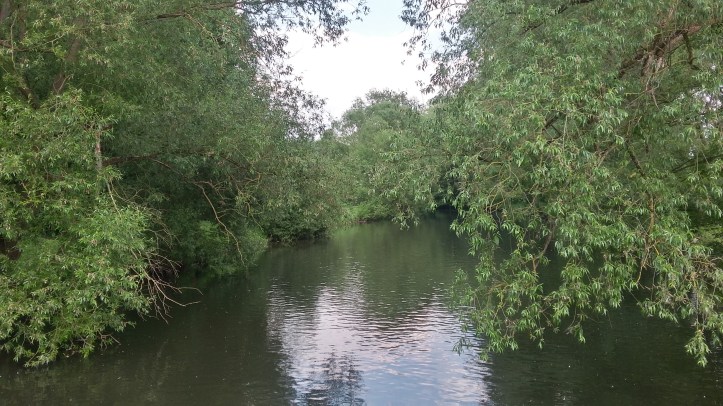 20180527_153113_Richtone(HDR)