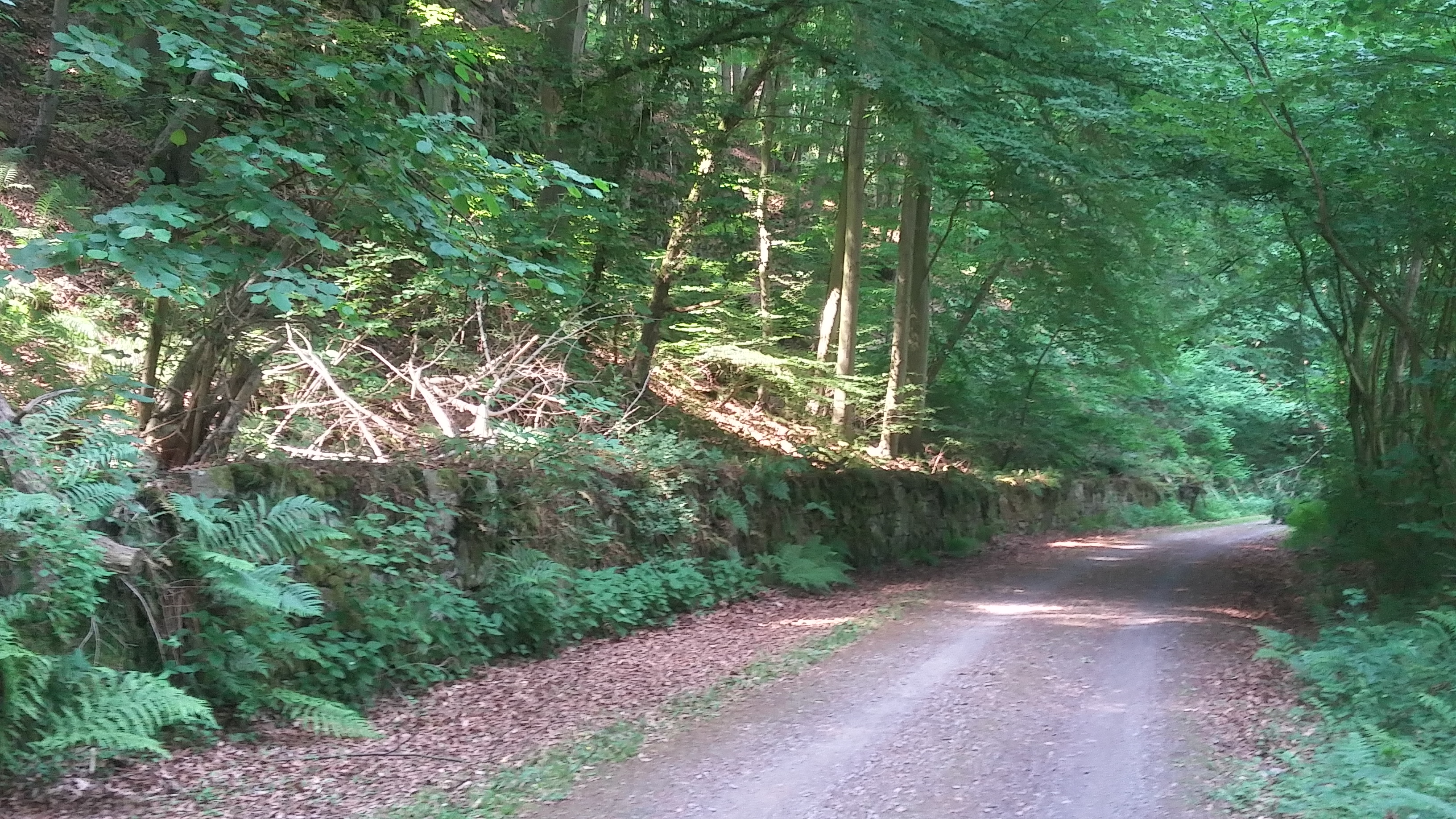 20180529_111618_Richtone(HDR)