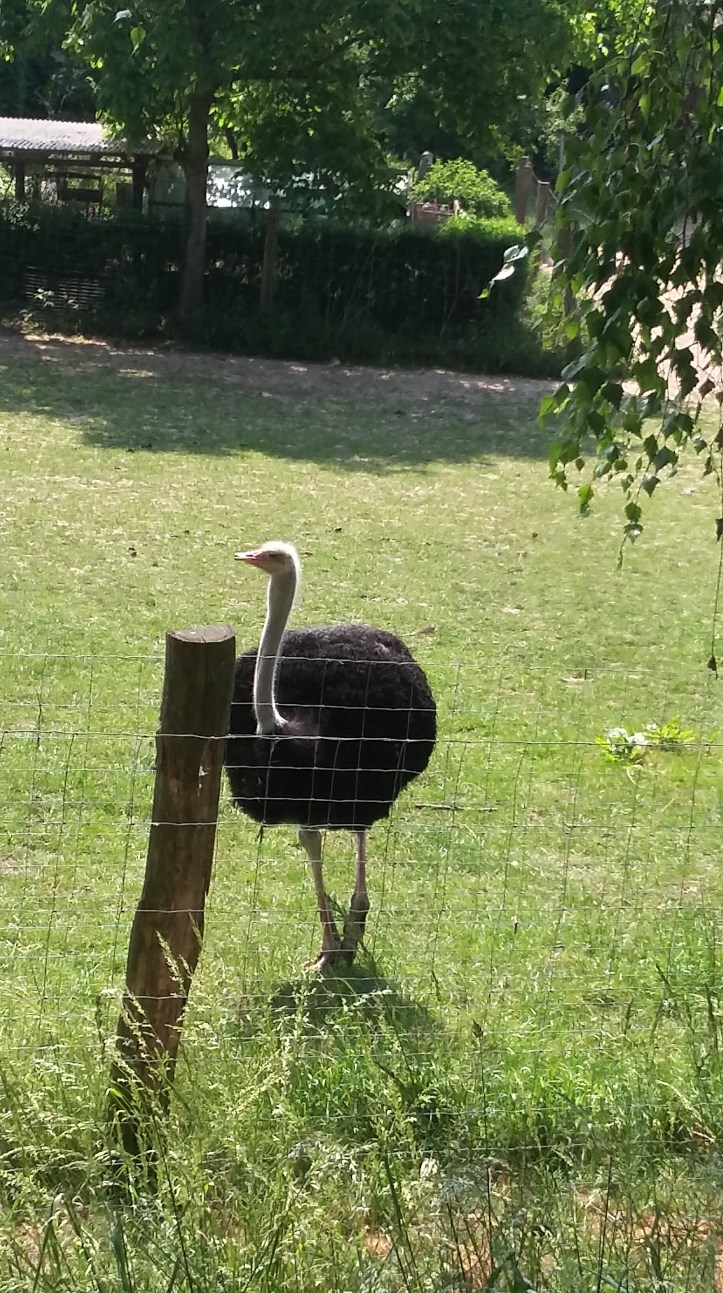 20180529_113249_Richtone(HDR)