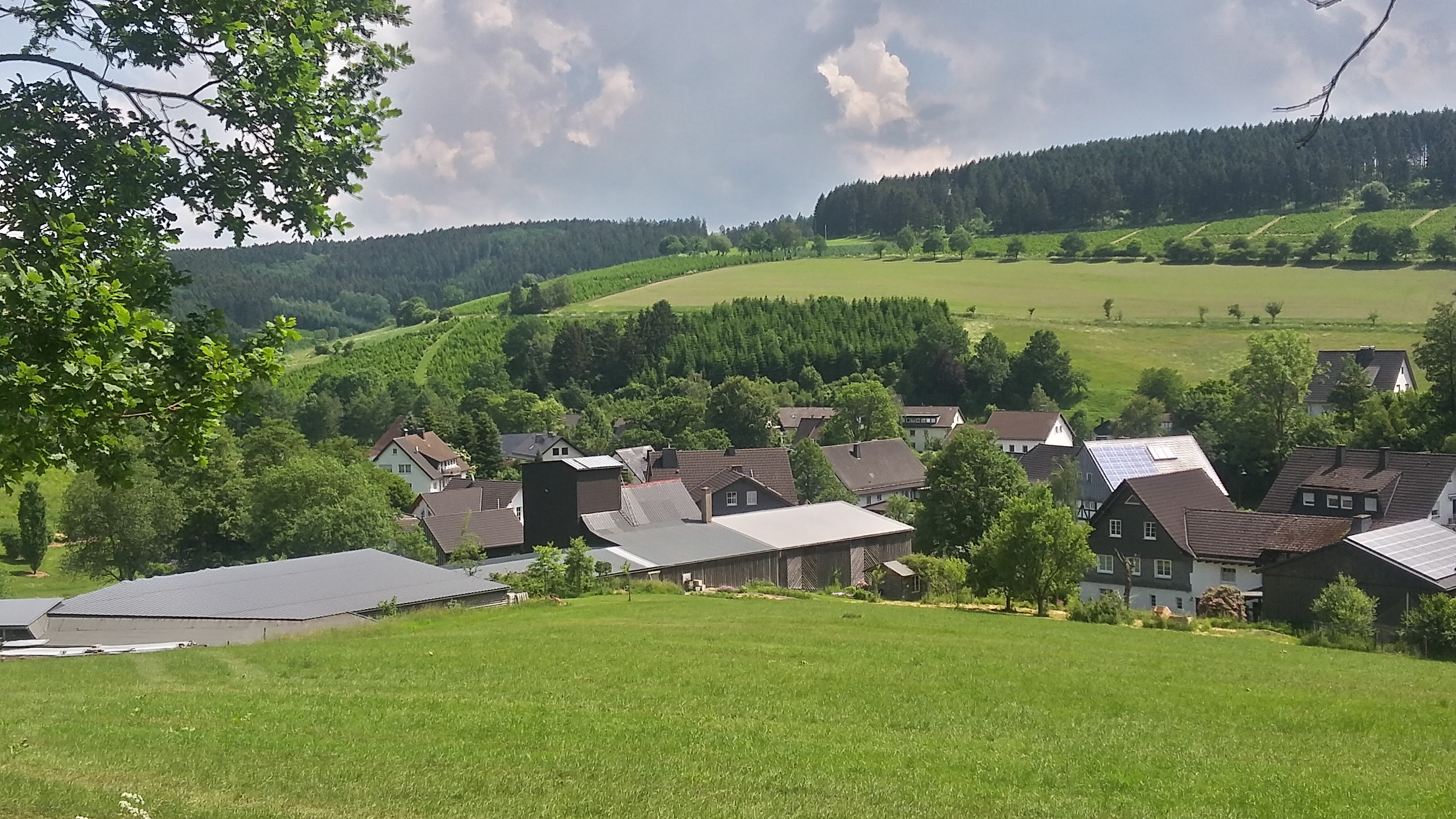 20180531_120057_Richtone(HDR)