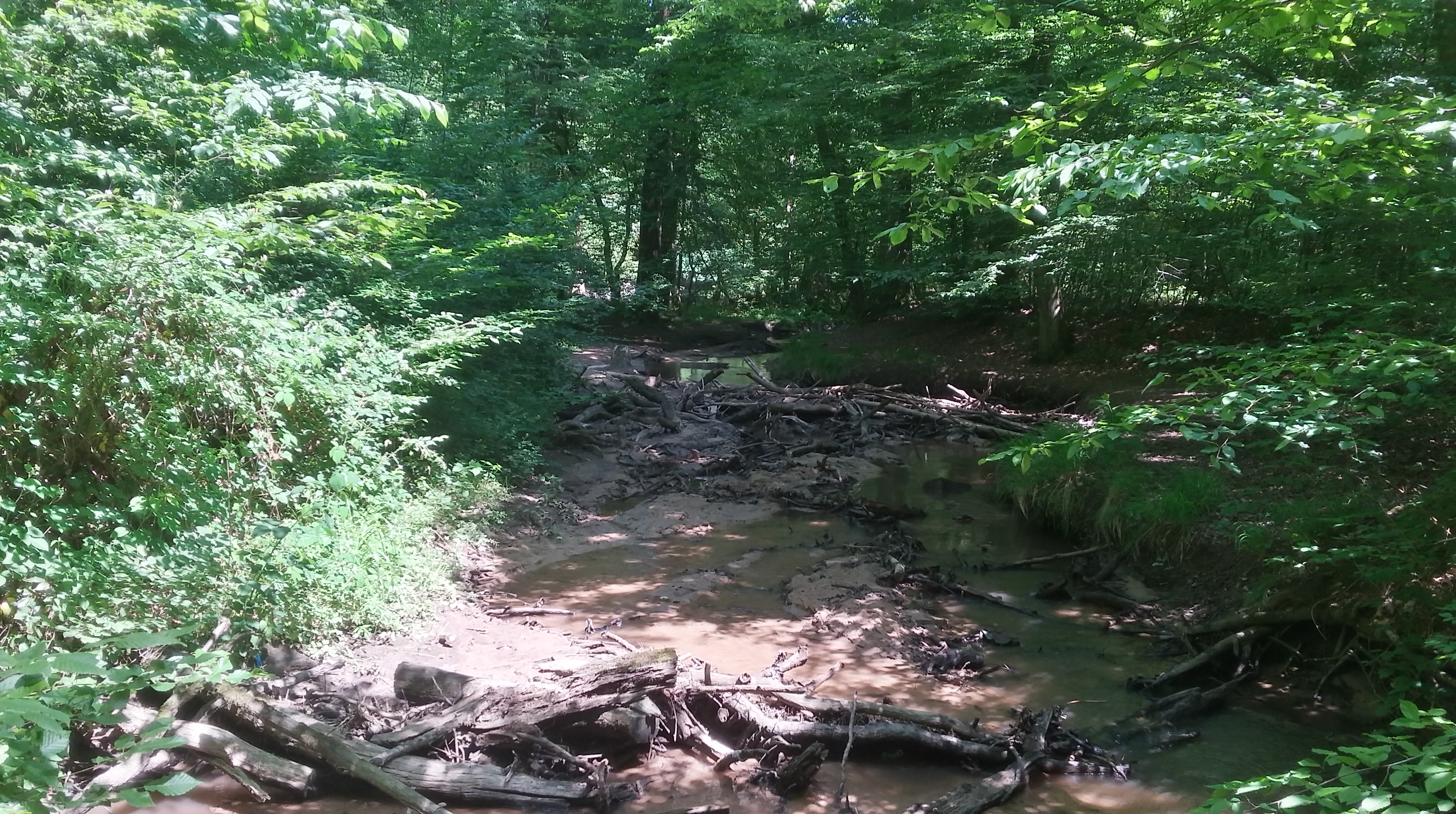 20180606_135230_Richtone(HDR)