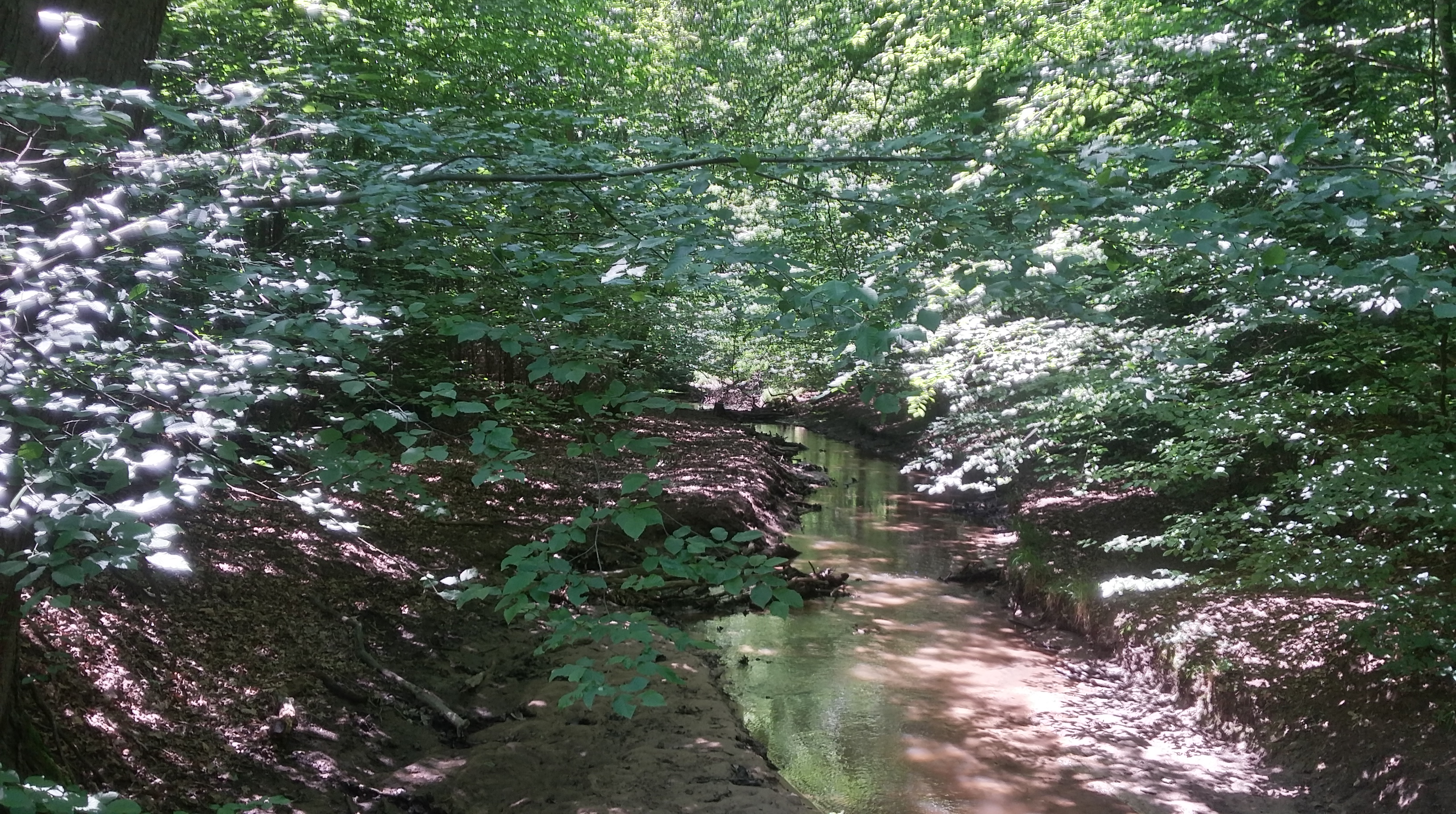 20180606_135334_Richtone(HDR)