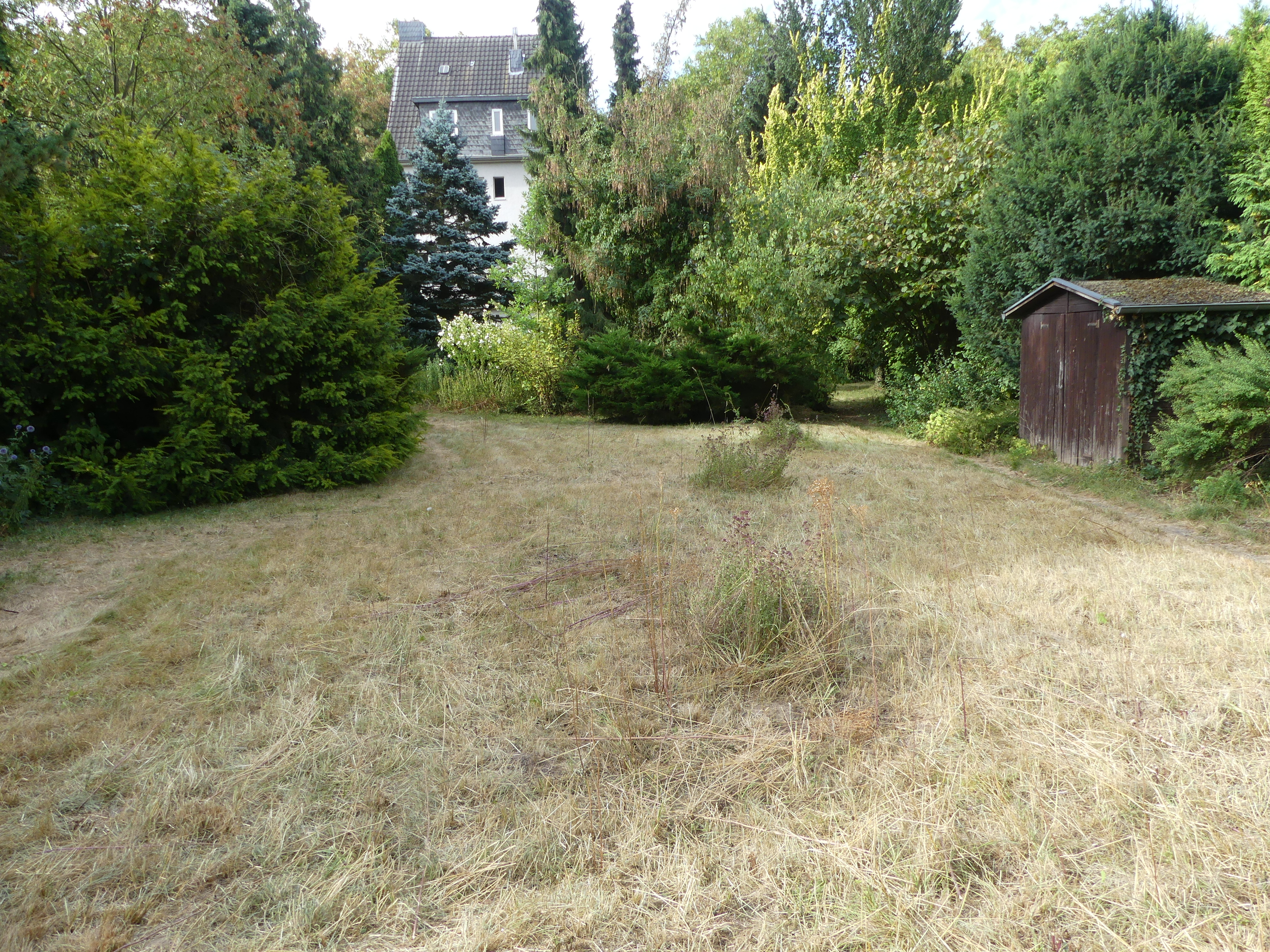 P1000456
