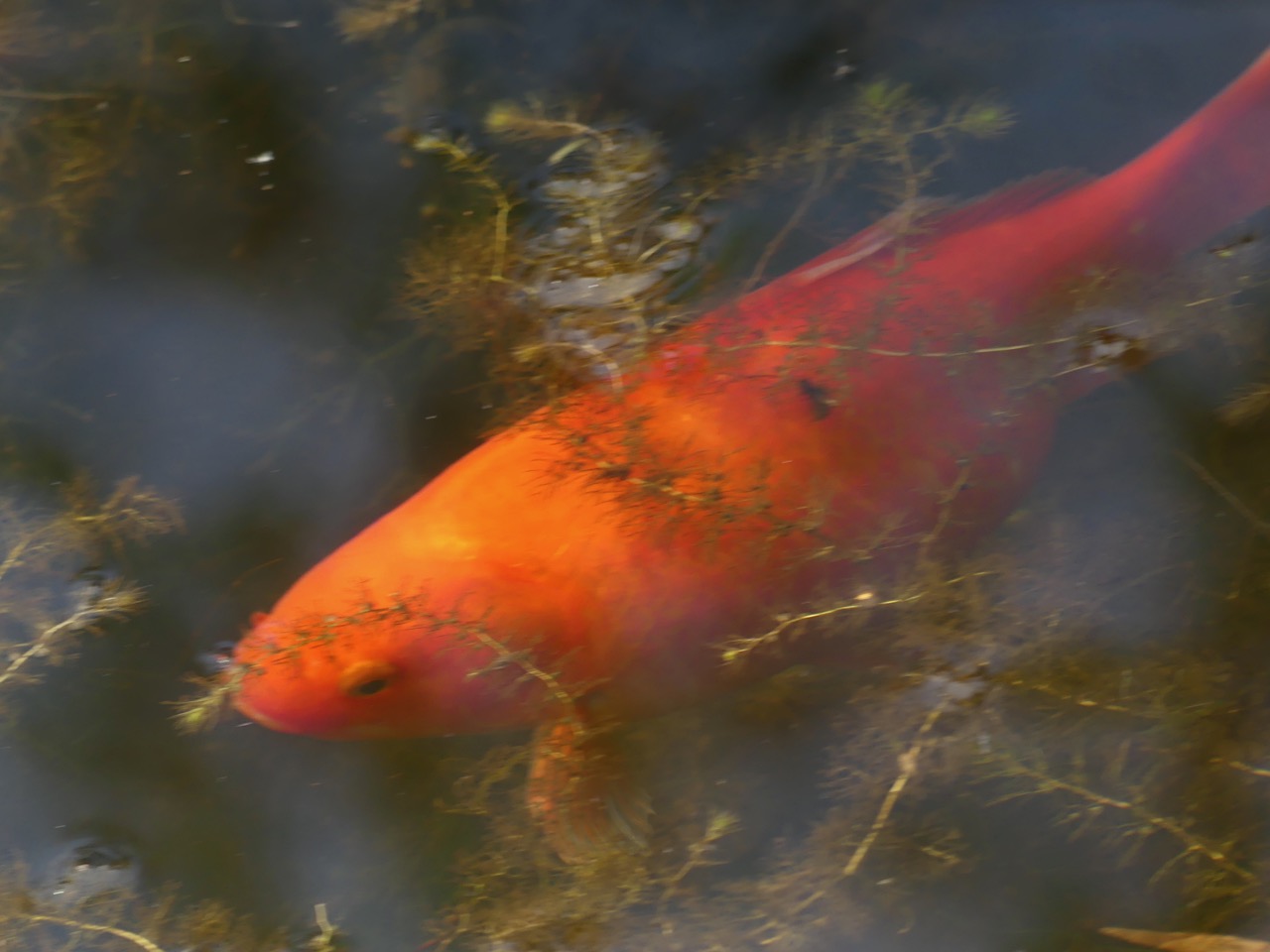 P1000494