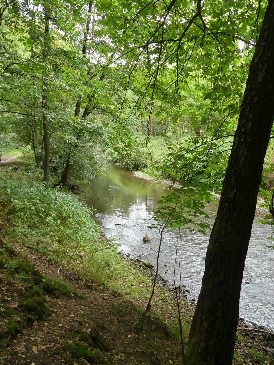 P1000504