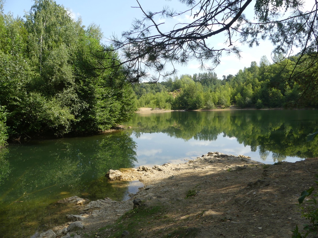 P1000513