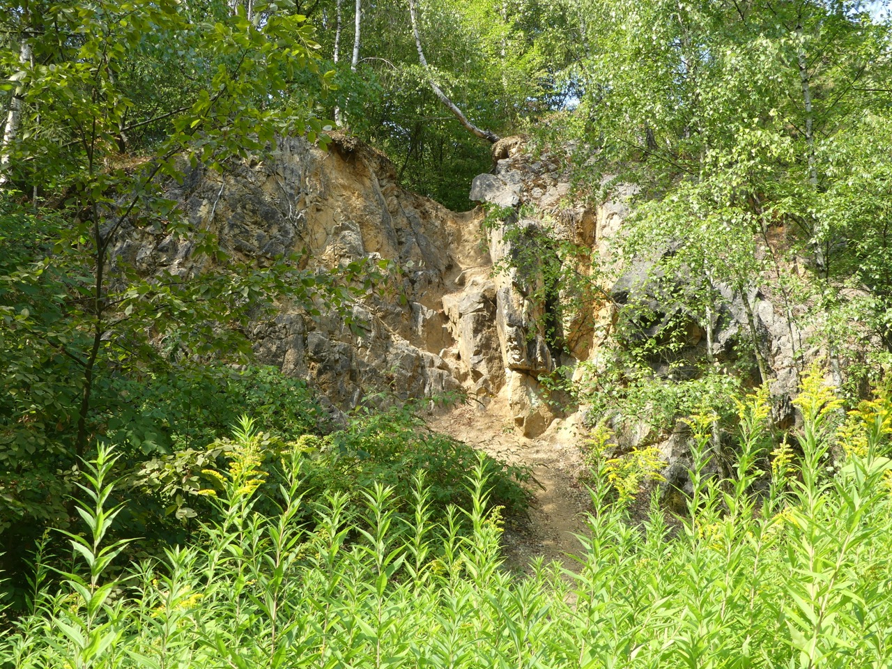 P1000520