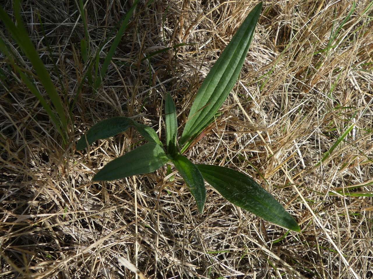 P1000562